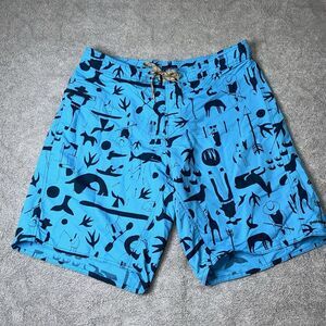 Patagonia Board Shorts Men's Size 36 Blue‎ Cave Art Swim Surf Trunks